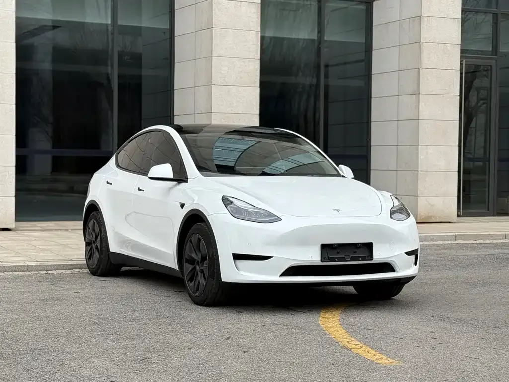 Tesla Model Y — фото 10