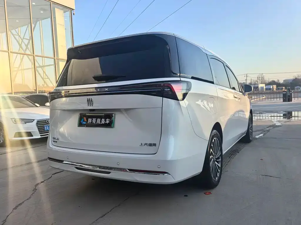 Buick GL8 Hybrid — фото 6