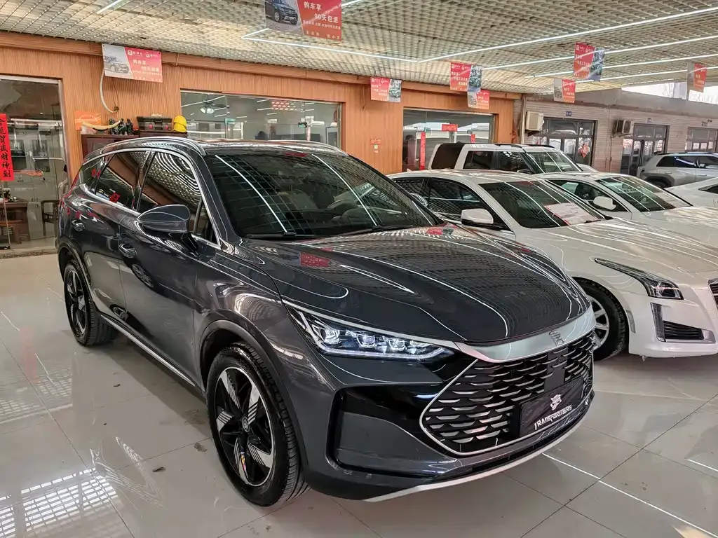 BYD Tang New Energy — фото 10