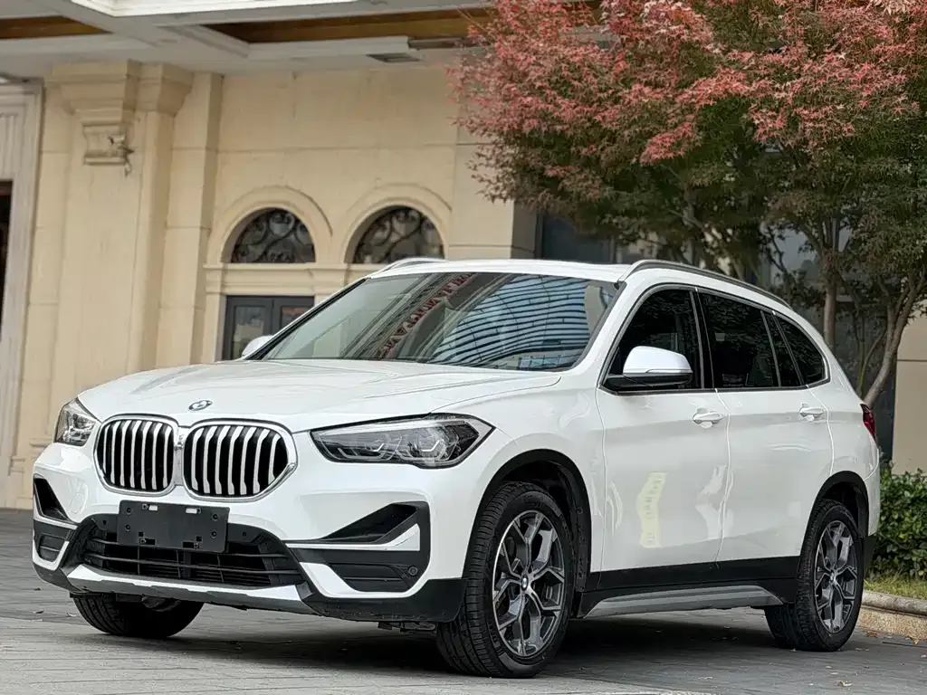 BMW X1 — фото 1