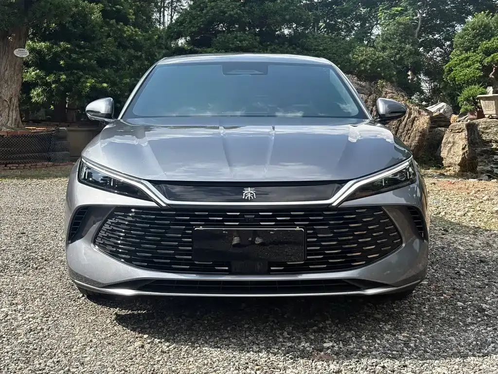 BYD Qin L — фото 2
