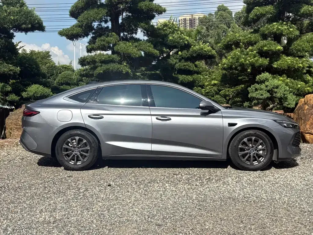 BYD Qin L — фото 4