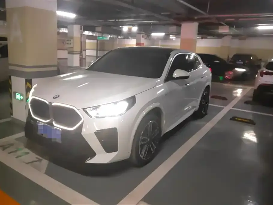 BMW X2 (Import) — фото 1