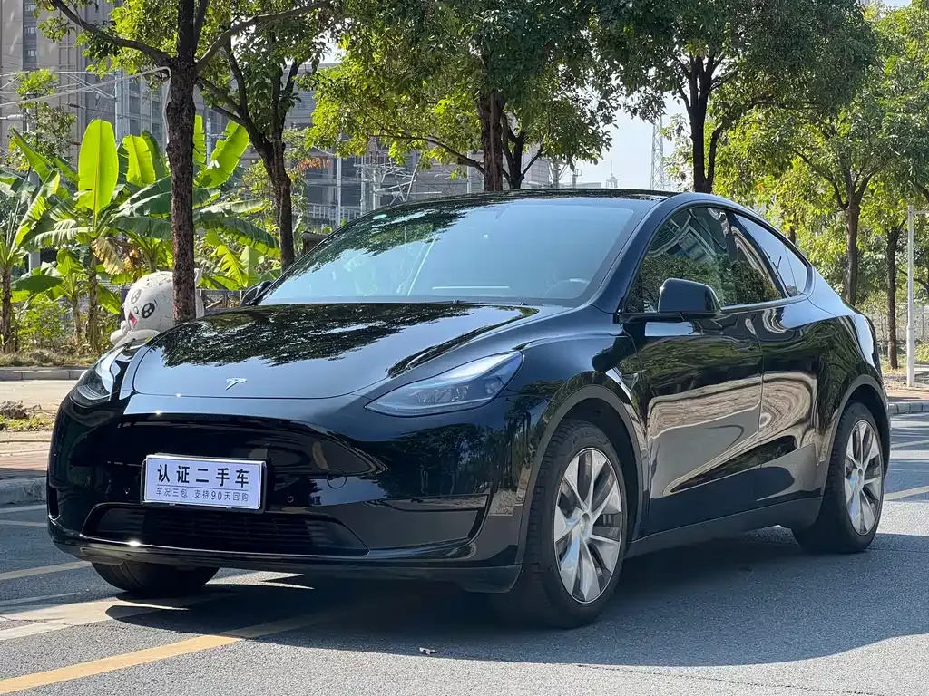 Tesla Model Y — фото 1