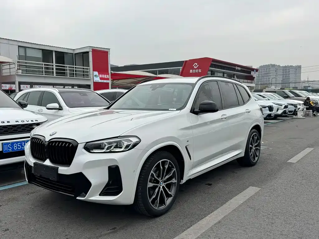 BMW X3 — фото 1