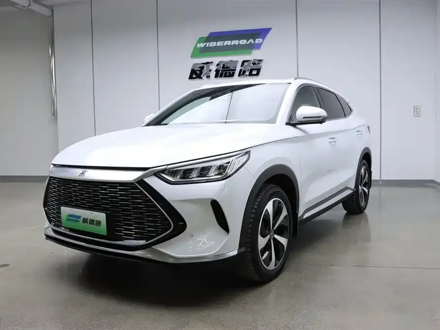 BYD PLUS New Energy — фото 1