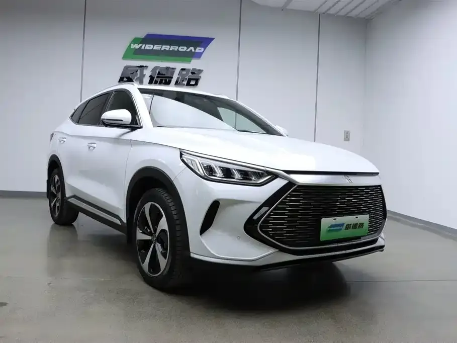BYD PLUS New Energy — фото 8