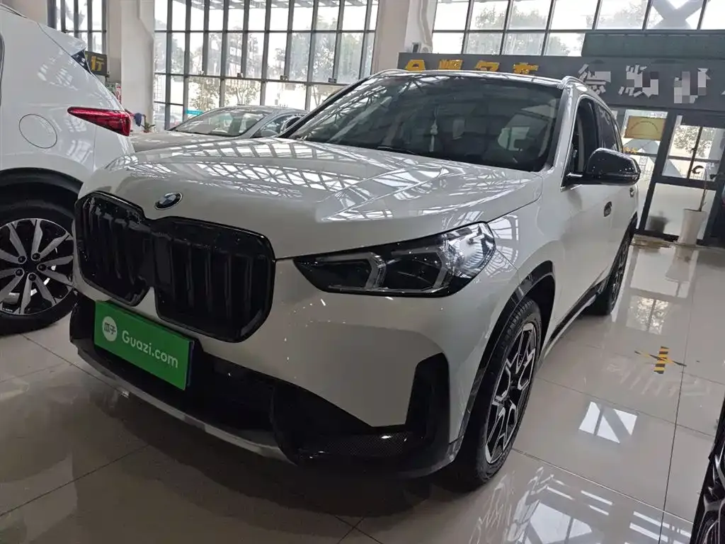 BMW X1 — фото 1