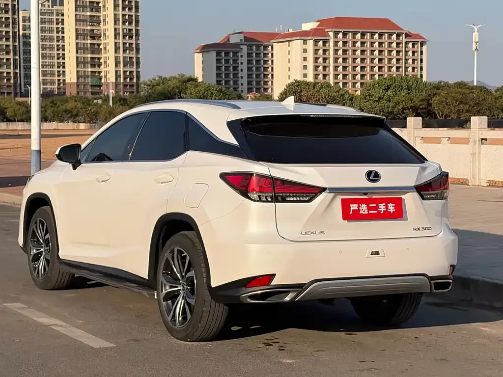 Lexus RX — фото 9