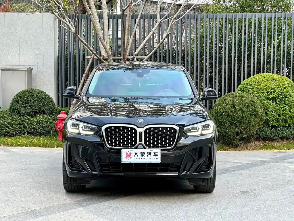 BMW X4 — фото 10