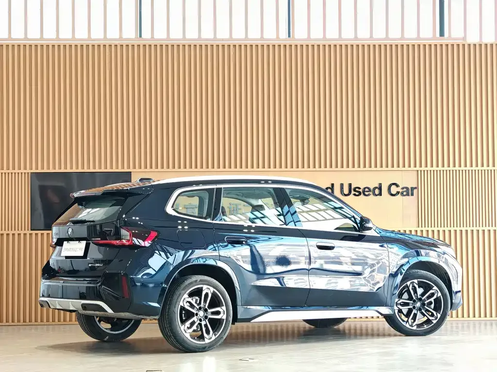 BMW X1 — фото 10
