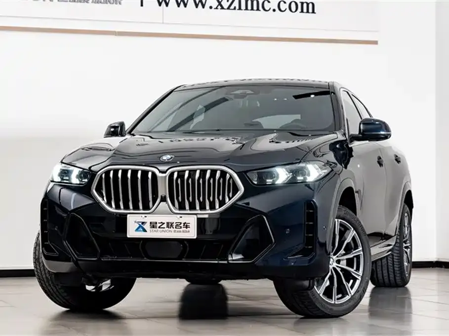BMW X6 — фото 6