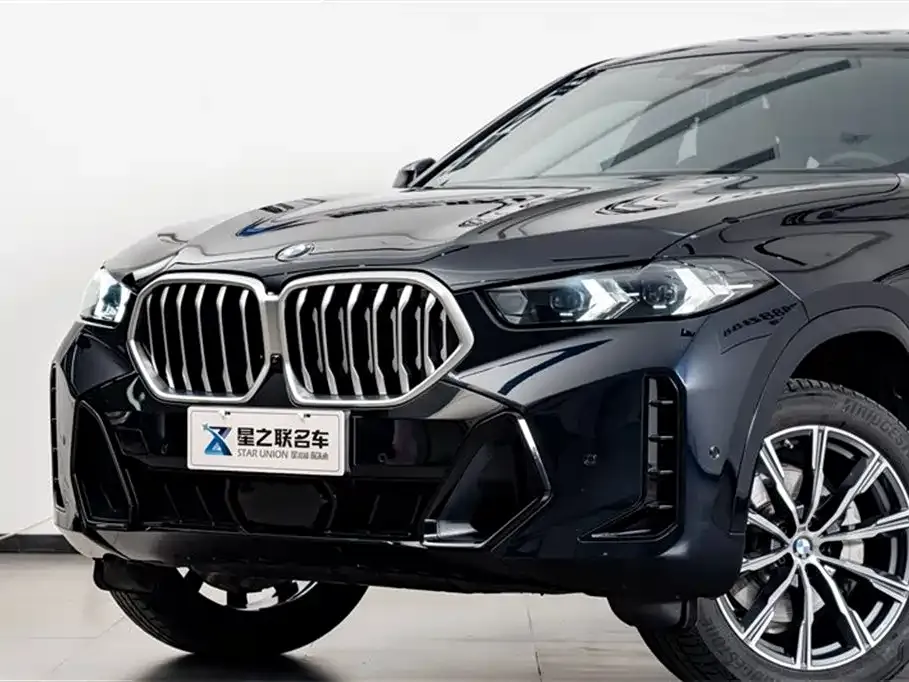 BMW X6 — фото 9
