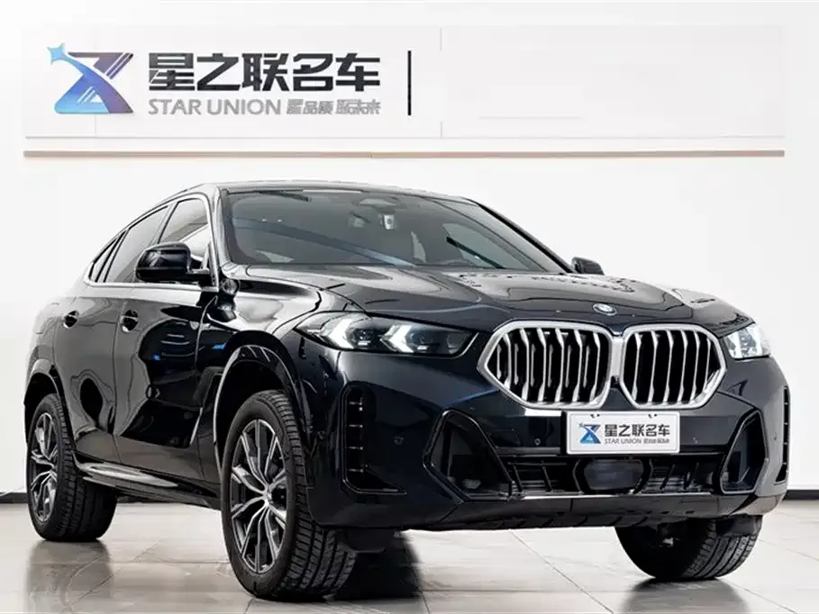 BMW X6 — фото 10