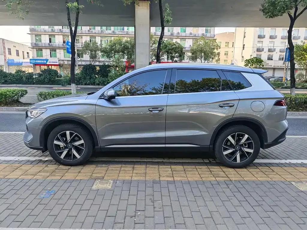 BYD Pro New Energy — фото 2