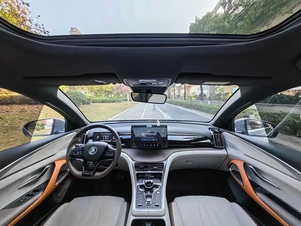 BYD Pro New Energy — фото 4