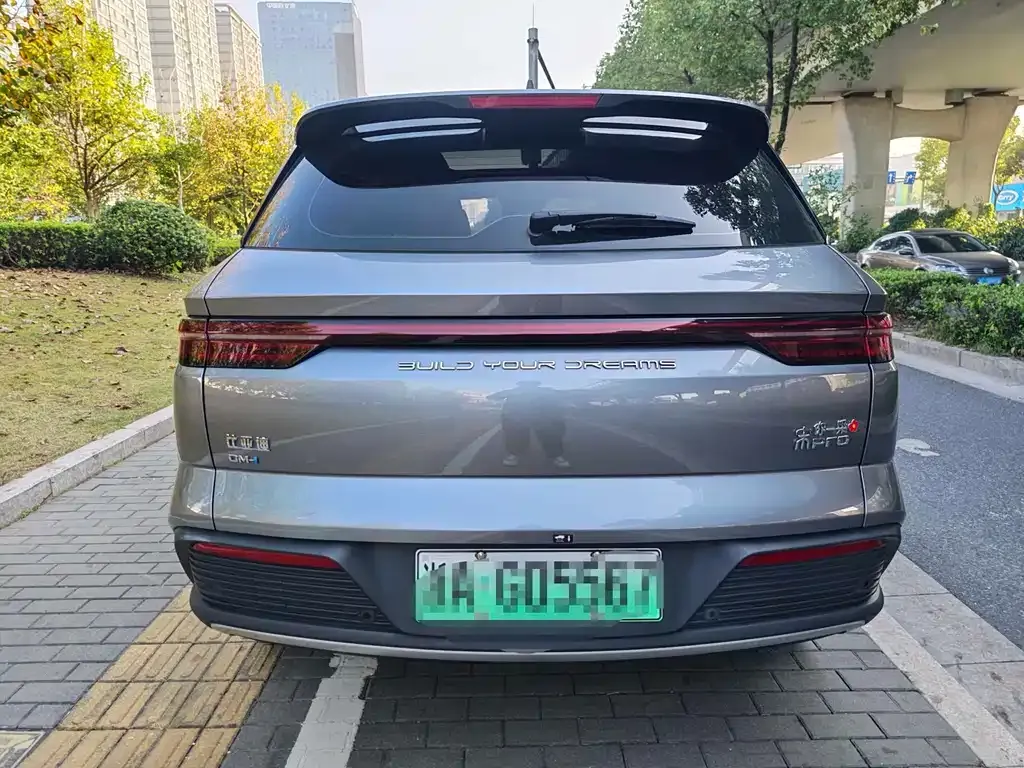 BYD Pro New Energy — фото 9