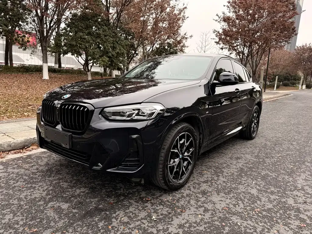 BMW X4 — фото 1