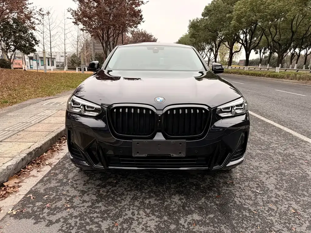 BMW X4 — фото 10