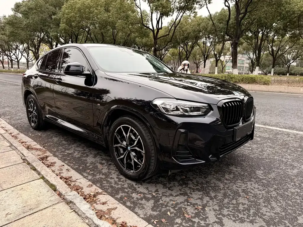 BMW X4 — фото 5