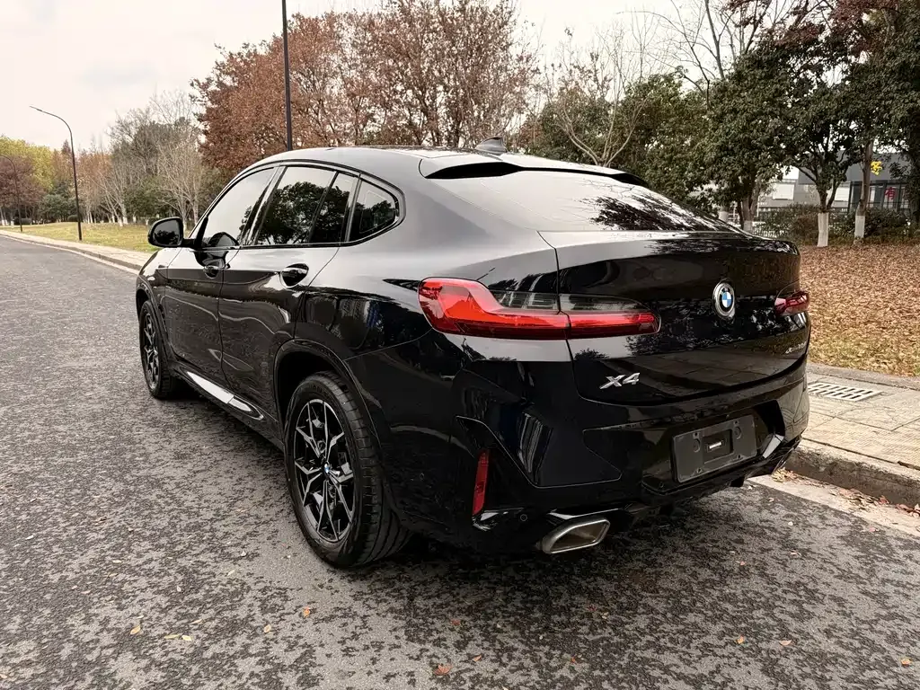BMW X4 — фото 9
