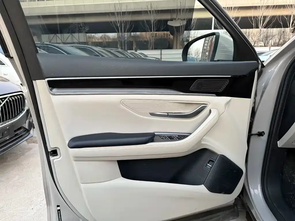 BYD PLUS New Energy — фото 4