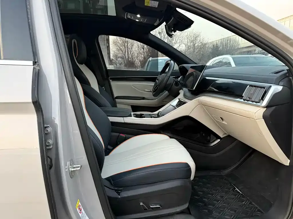 BYD PLUS New Energy — фото 10