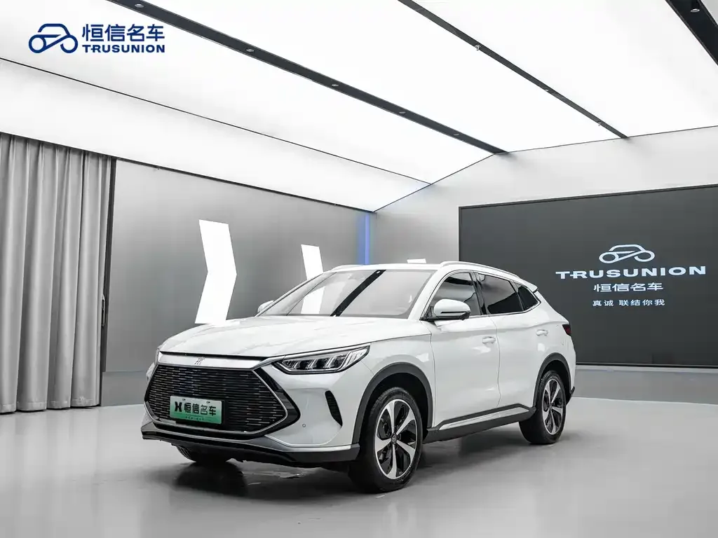 BYD PLUS New Energy — фото 1