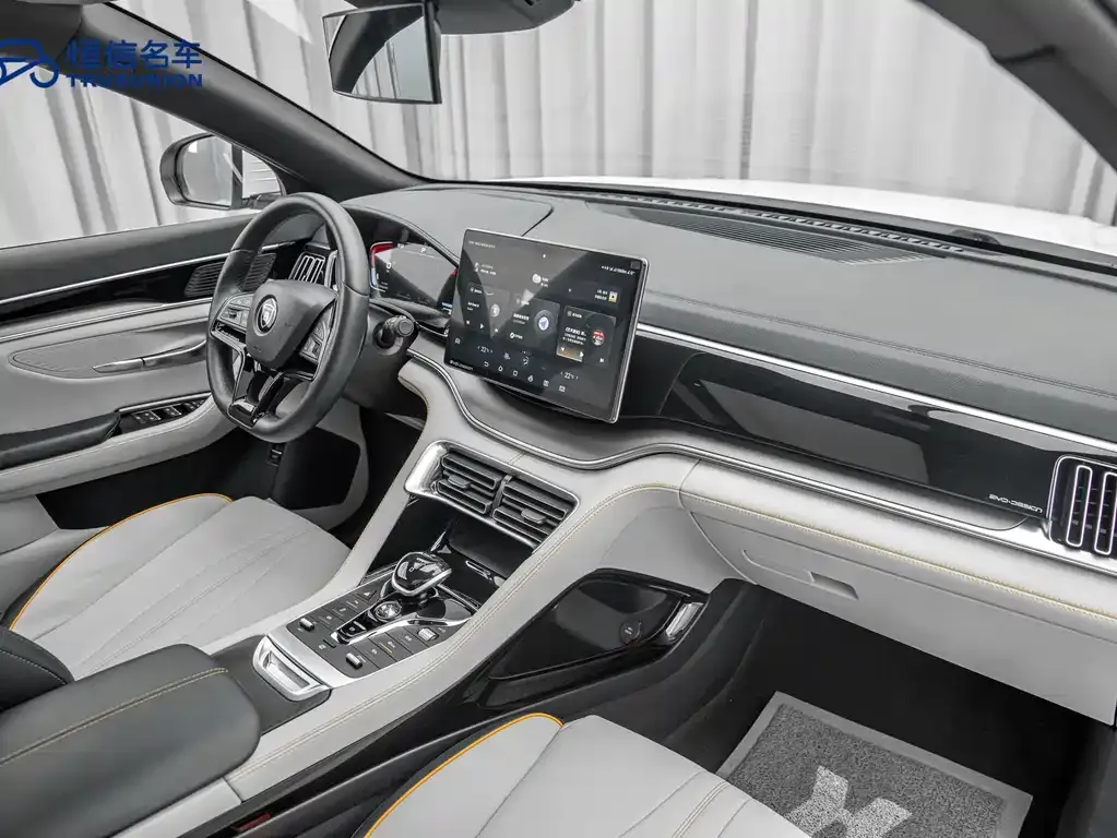 BYD PLUS New Energy — фото 10