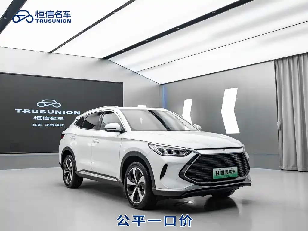 BYD PLUS New Energy — фото 3