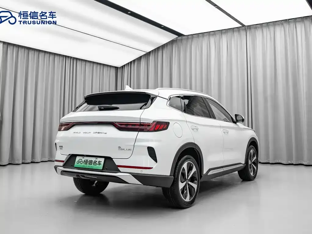 BYD PLUS New Energy — фото 4