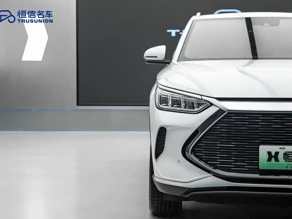 BYD PLUS New Energy — фото 6