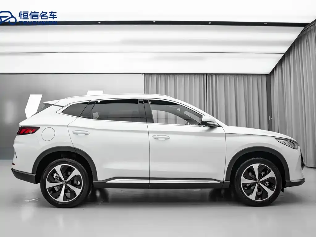 BYD PLUS New Energy — фото 8
