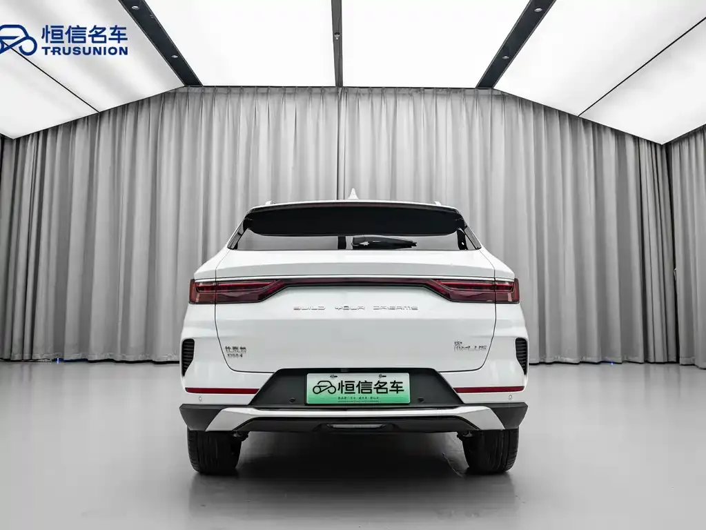 BYD PLUS New Energy — фото 9