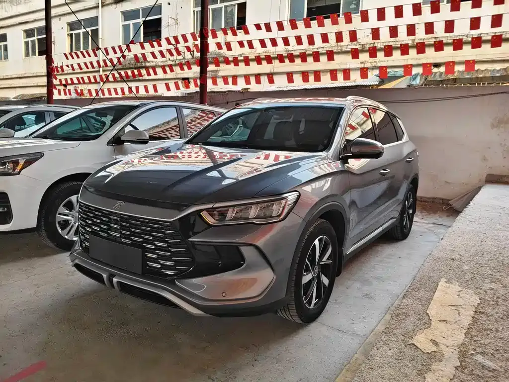 BYD Pro New Energy — фото 1