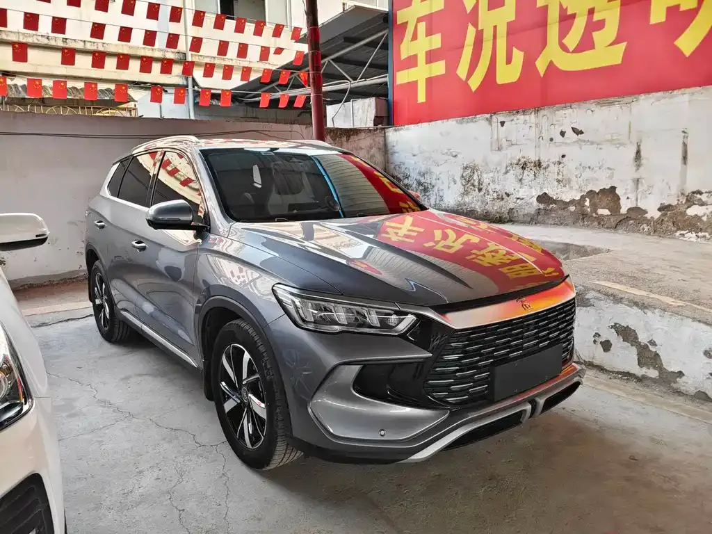 BYD Pro New Energy — фото 10
