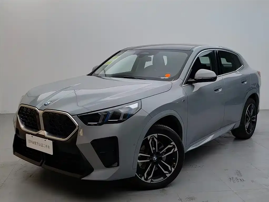 BMW X2 (Import) — фото 1