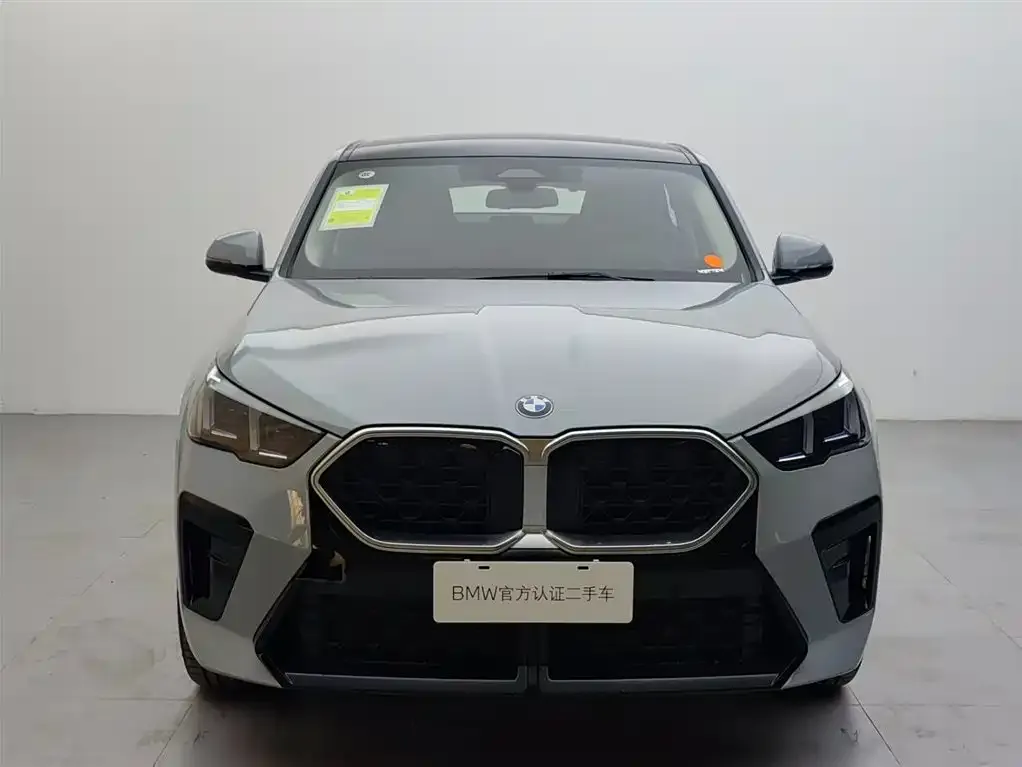 BMW X2 (Import) — фото 10