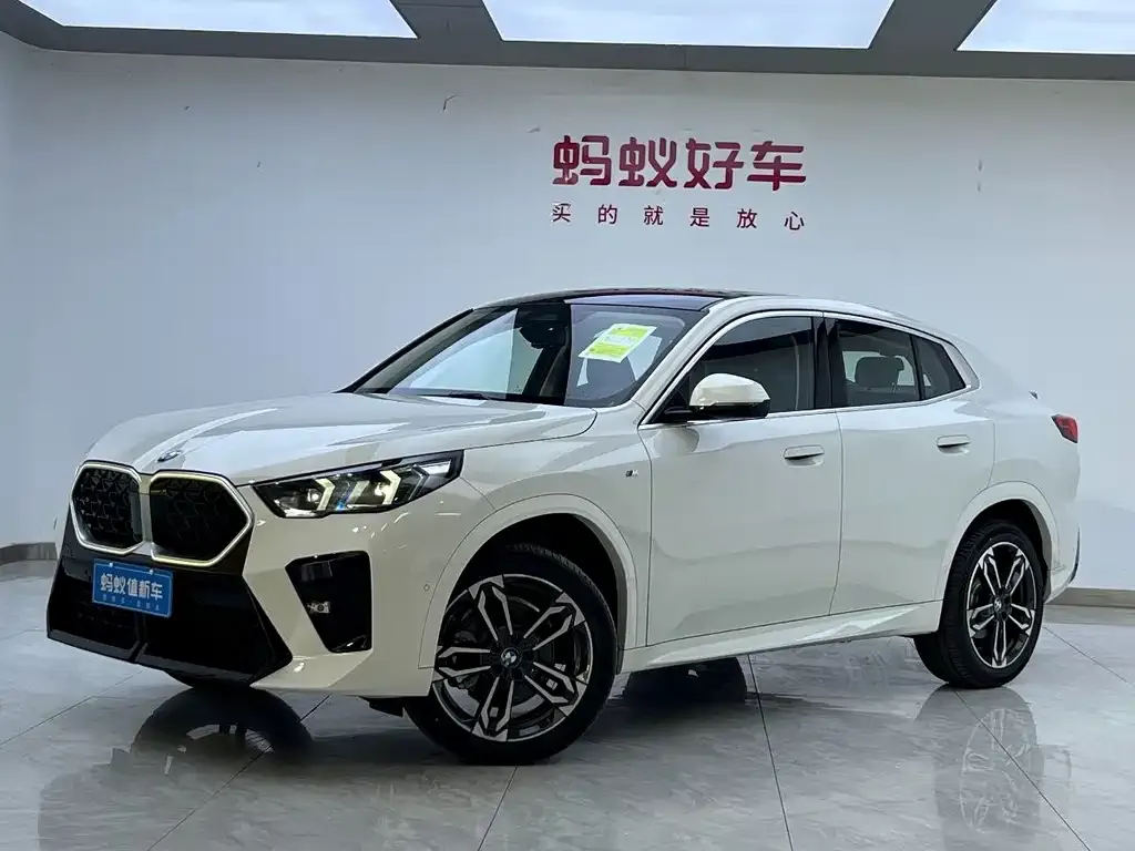 BMW X2 (Import) — фото 1