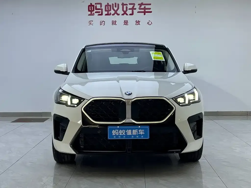 BMW X2 (Import) — фото 2
