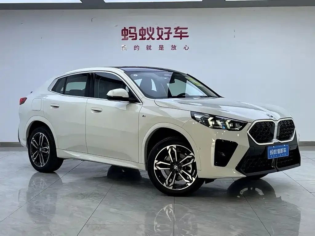 BMW X2 (Import) — фото 9