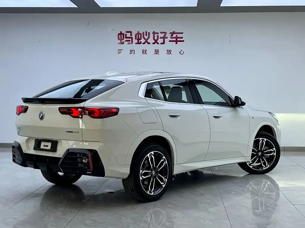 BMW X2 (Import) — фото 5