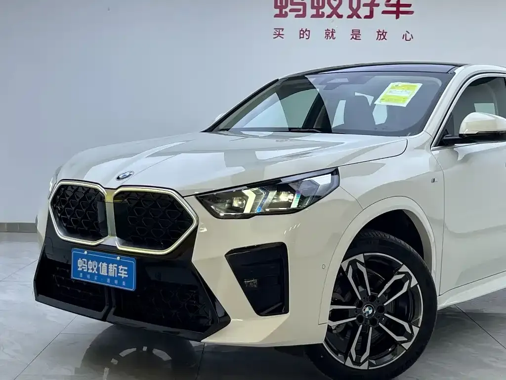 BMW X2 (Import) — фото 4