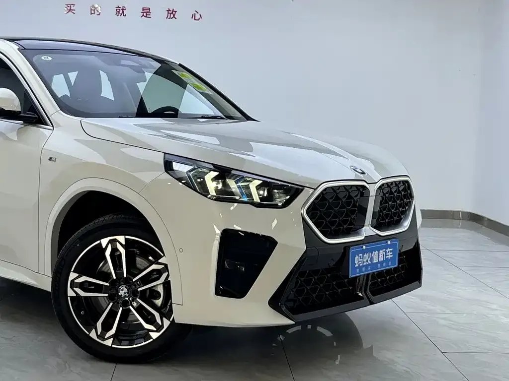 BMW X2 (Import) — фото 8