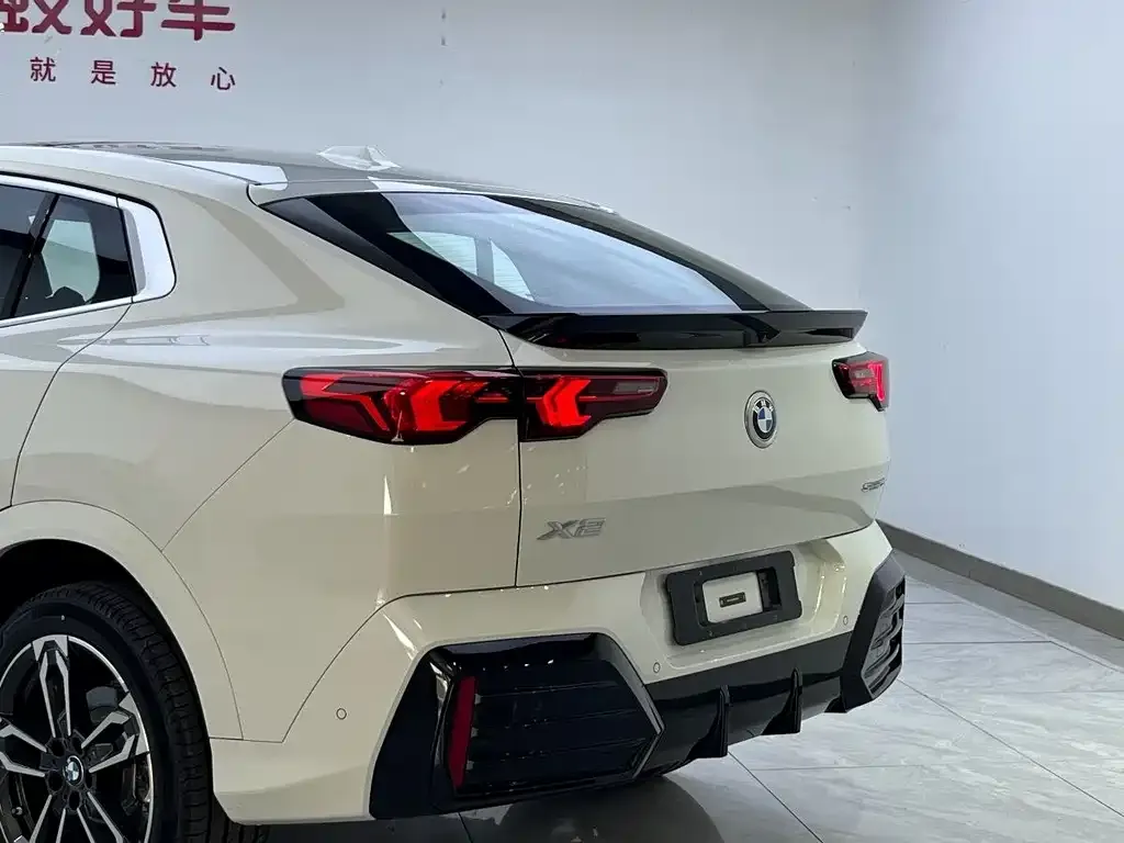 BMW X2 (Import) — фото 6