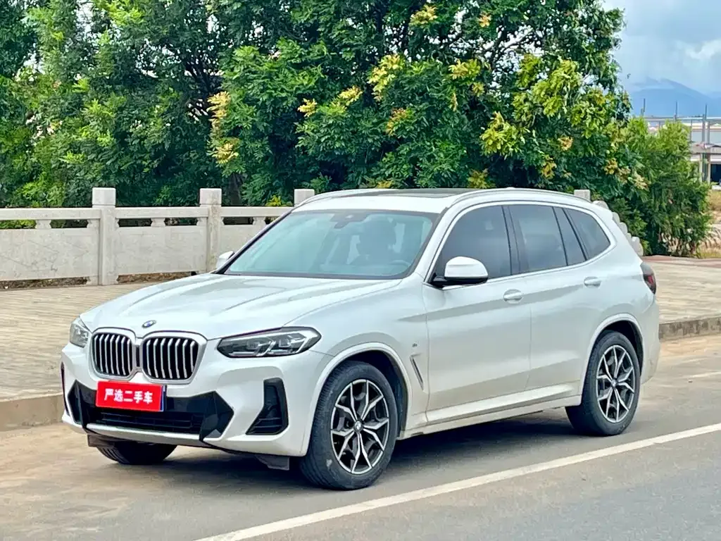 BMW X3 — фото 1