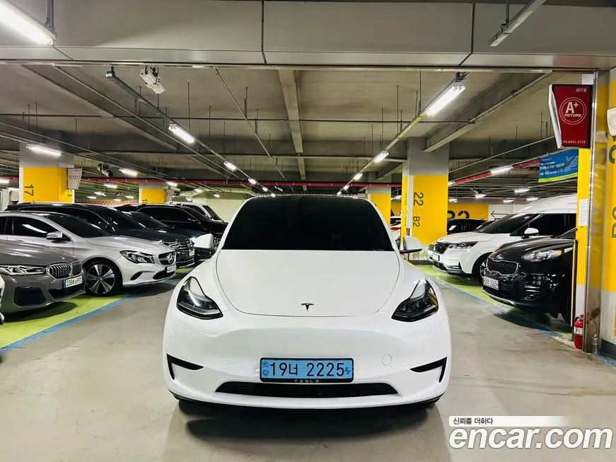 Tesla Model Y — фото 1