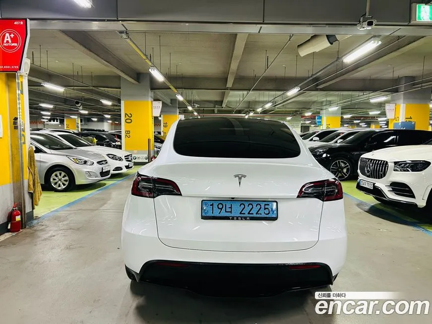 Tesla Model Y — фото 7