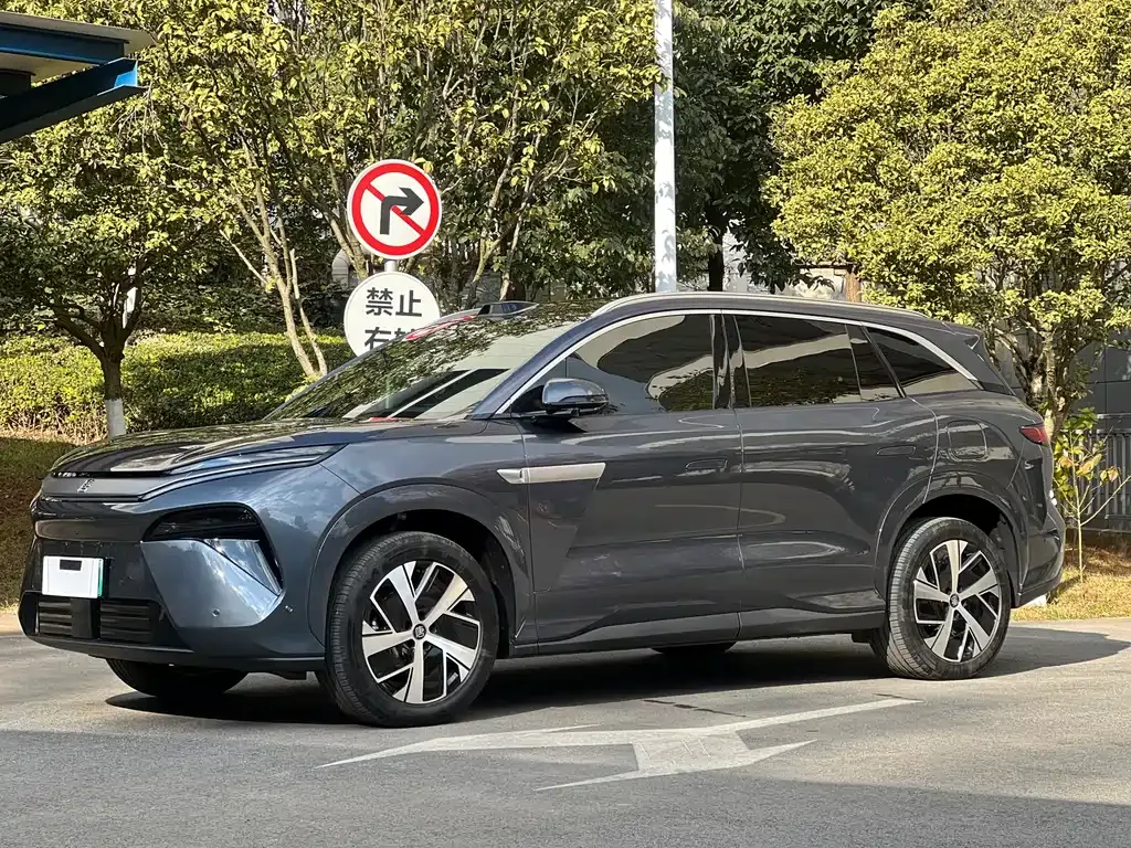BYD Tang L — фото 1