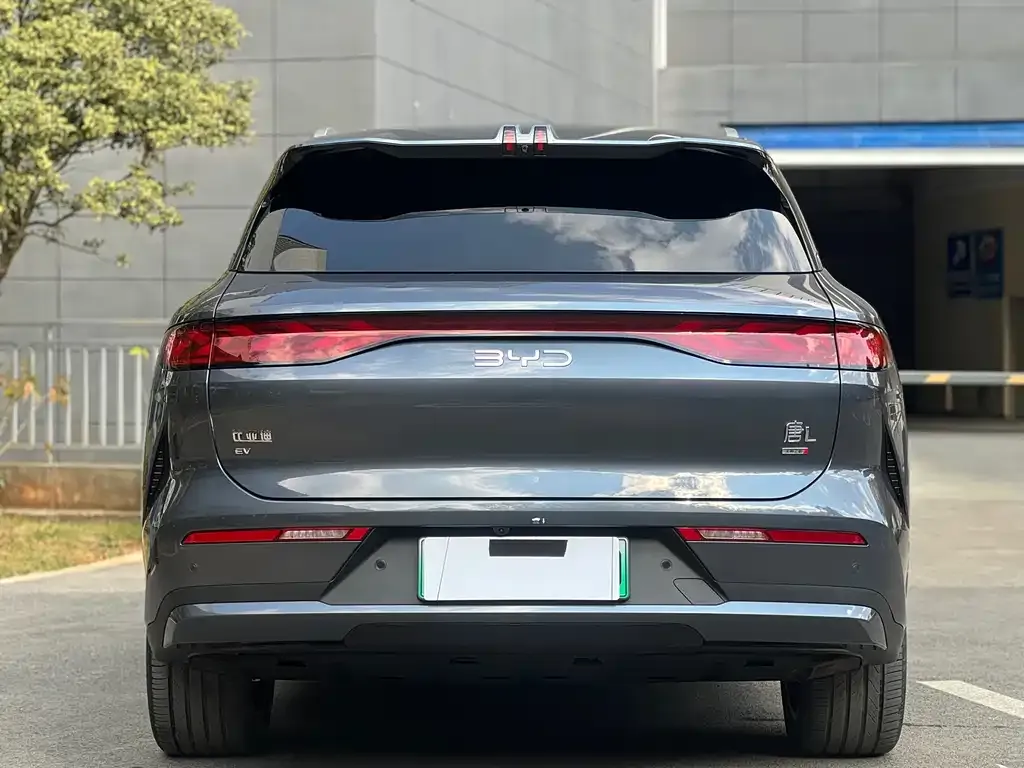 BYD Tang L — фото 2